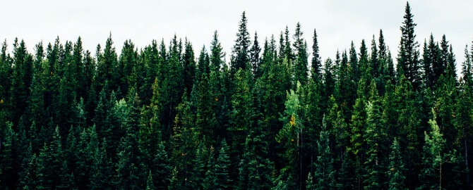 Notre engagement sur l’impact écologique avec Zei